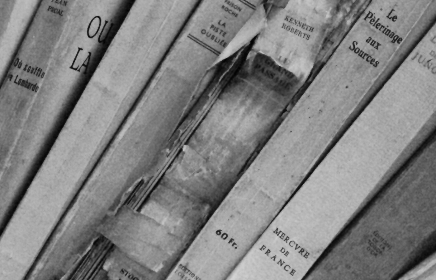 Kitapların Gözden Kaçan Sesleri: Doubleday’in Yeni Hamlesi Outsider Editions