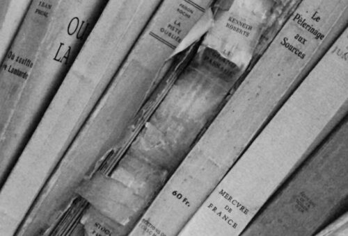 Kitapların Gözden Kaçan Sesleri: Doubleday’in Yeni Hamlesi Outsider Editions